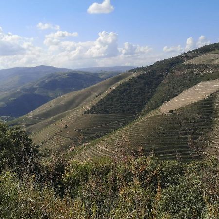 Douro Valley - Casa Da Praca Ervedosa do Douro Экстерьер фото