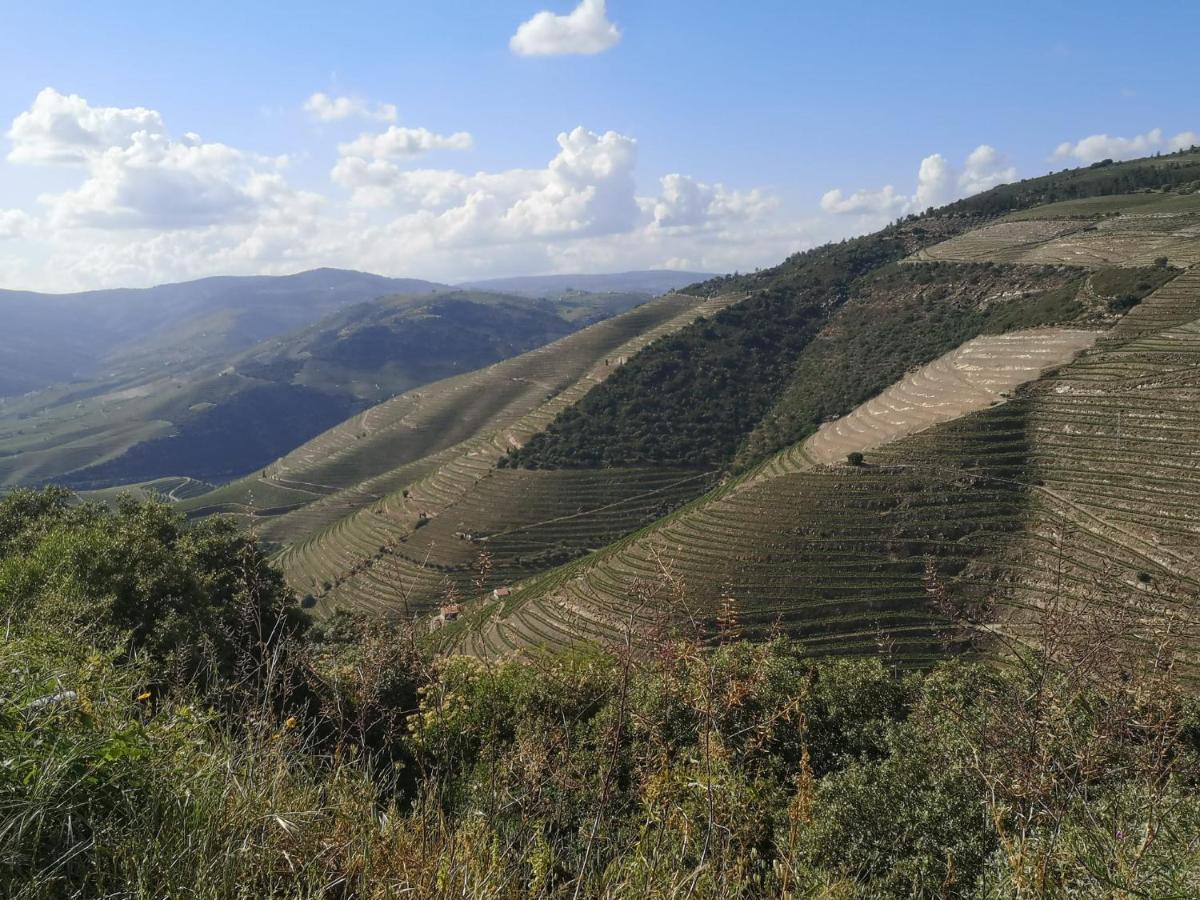 Douro Valley - Casa Da Praca Ervedosa do Douro Экстерьер фото
