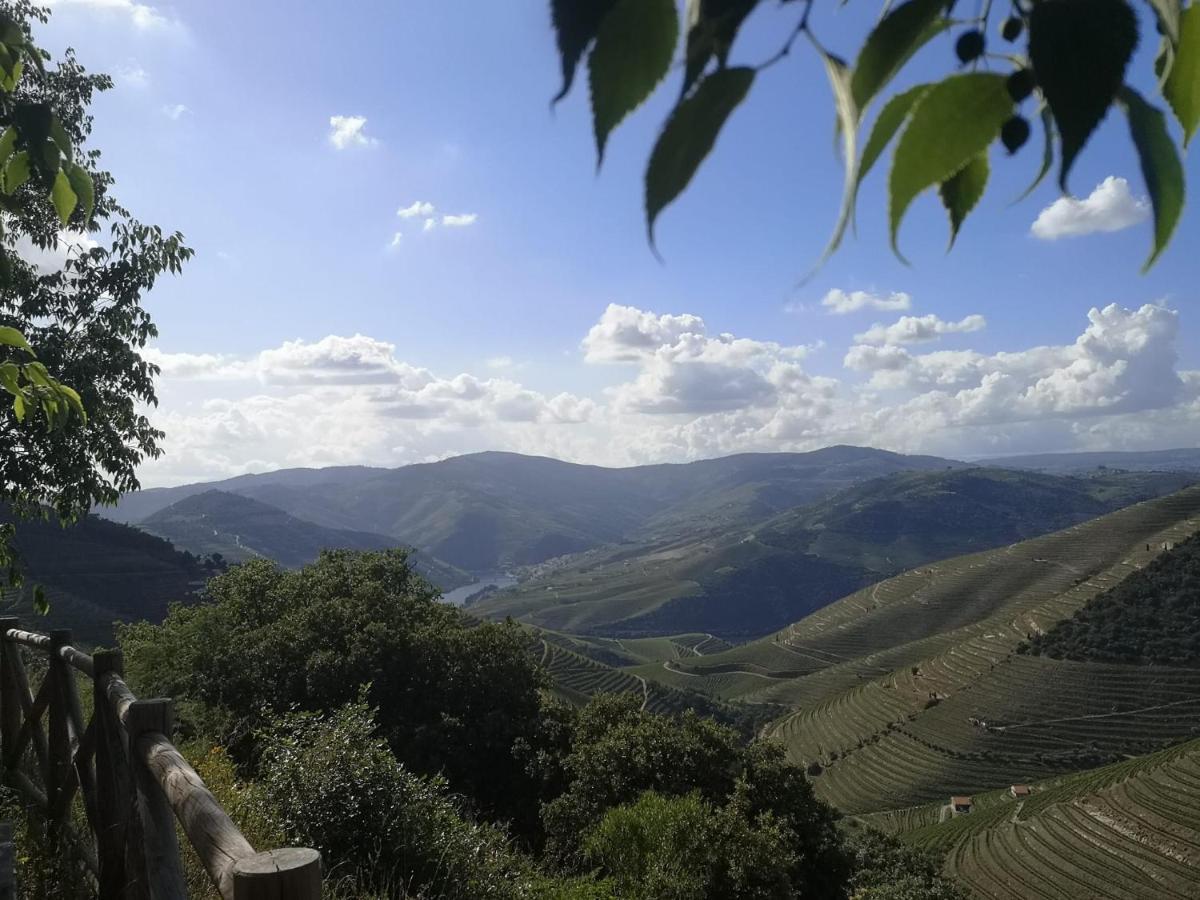 Douro Valley - Casa Da Praca Ervedosa do Douro Экстерьер фото